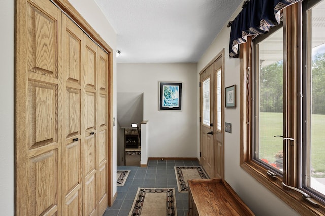 11946 180th St, Milaca Twp, MN 56353 - doorway with plenty of natural light, dark tile patterned floors, and baseboards