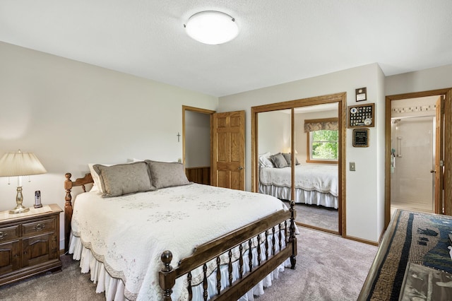 11946 180th St, Milaca Twp, MN 56353 - bedroom with carpet, a closet, and baseboards