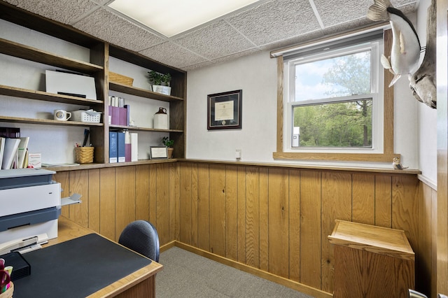 11946 180th St, Milaca Twp, MN 56353 - carpeted office space featuring a wainscoted wall and wooden walls
