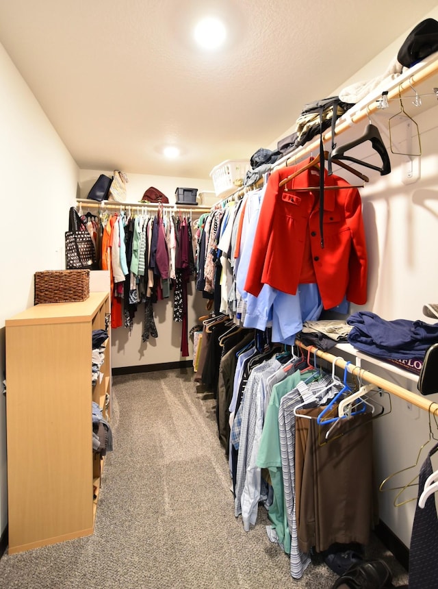 1800 20th Avenue Cir NE, Kasson, MN 55944 - spacious closet featuring carpet floors