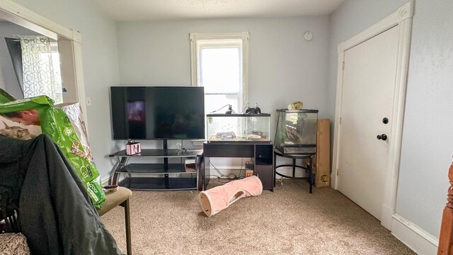 226 3rd Ave NE, Saint Cloud, MN 56304 - bedroom with carpet flooring