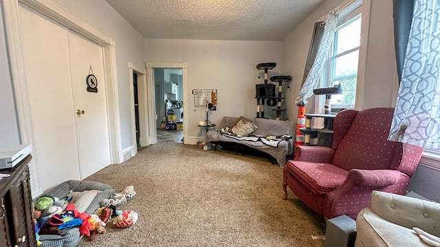 226 3rd Ave NE, Saint Cloud, MN 56304 - sitting room featuring carpet flooring and a textured ceiling