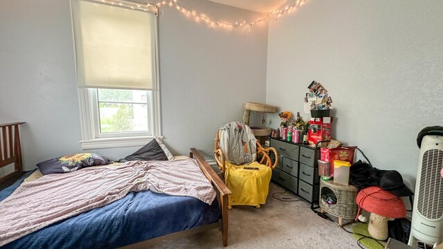226 3rd Ave NE, Saint Cloud, MN 56304 - bedroom featuring carpet floors