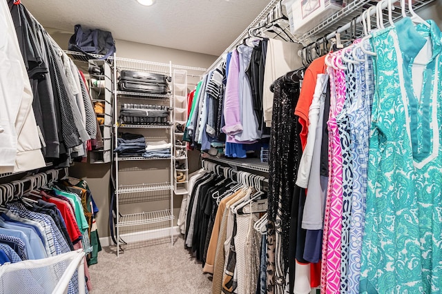 4740 Ashton Curv, Woodbury, MN 55129 - spacious closet with carpet floors