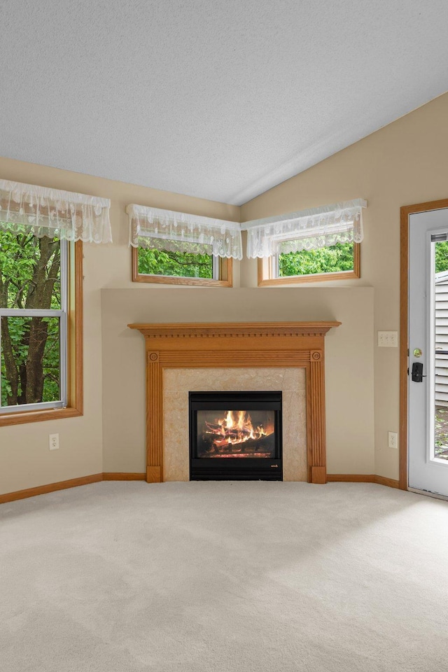 13403 96th Pl N, Maple Grove, MN 55369 - detailed view of carpet flooring, a glass covered fireplace, and baseboards