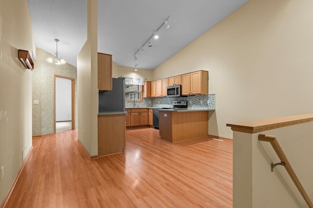 13403 96th Pl N, Maple Grove, MN 55369 - kitchen featuring stainless steel appliances, a peninsula, vaulted ceiling, and light wood-style flooring