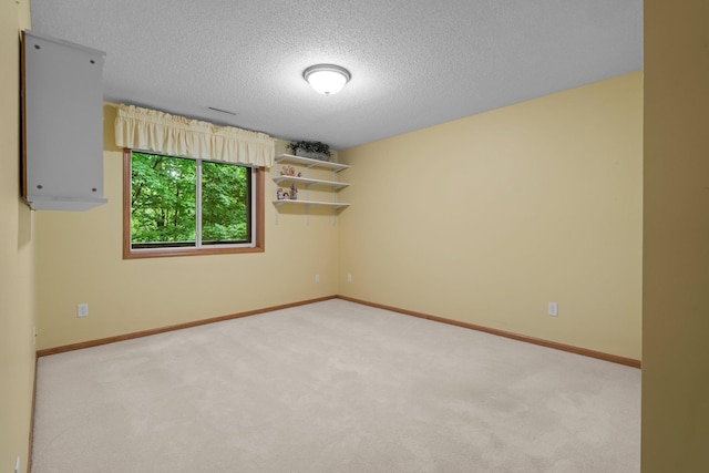 13403 96th Pl N, Maple Grove, MN 55369 - unfurnished room with a textured ceiling, carpet, and baseboards
