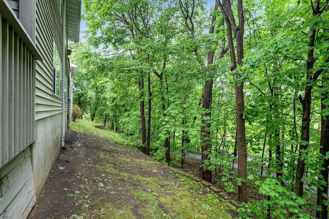 13403 96th Pl N, Maple Grove, MN 55369 - view of yard featuring a wooded view