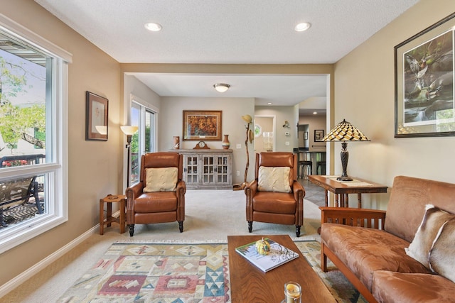 3806 Sunset Dr, Spring Park, MN 55384 - carpeted living area featuring baseboards, recessed lighting, and a textured ceiling