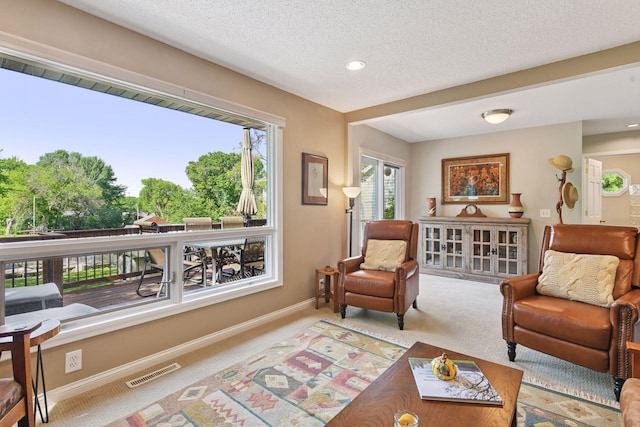 3806 Sunset Dr, Spring Park, MN 55384 - living room with carpet, baseboards, a textured ceiling, and recessed lighting