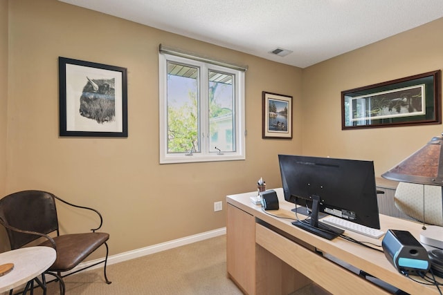 3806 Sunset Dr, Spring Park, MN 55384 - office with light colored carpet, baseboards, and a textured ceiling