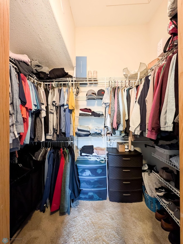 spacious closet with carpet