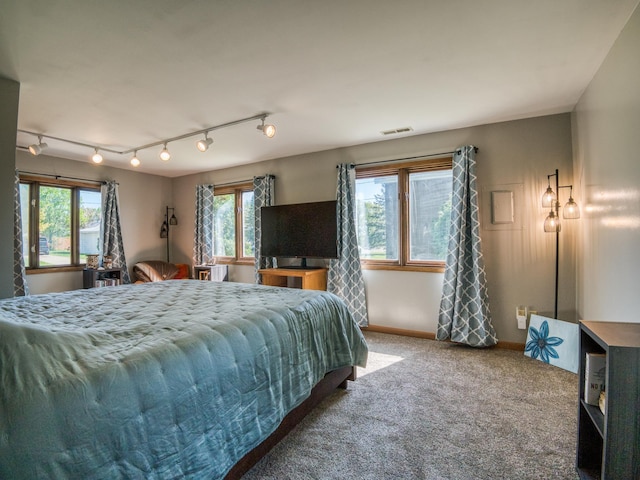 300 27th St NE, Bemidji, MN 56601 - carpeted bedroom with rail lighting and baseboards