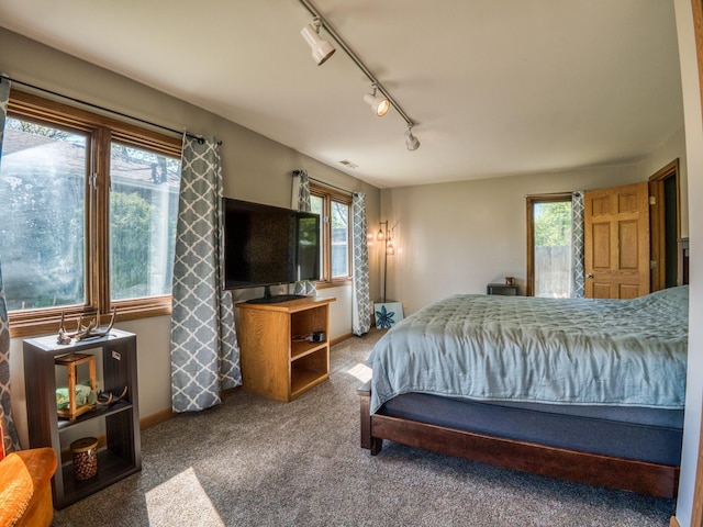 300 27th St NE, Bemidji, MN 56601 - bedroom with rail lighting, multiple windows, carpet floors, and baseboards