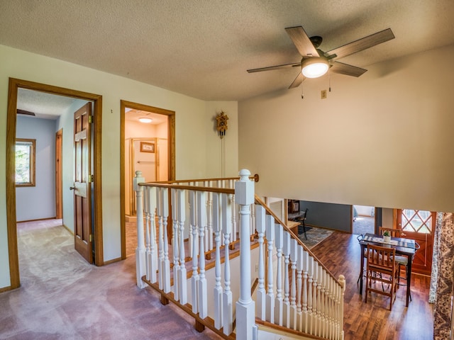 300 27th St NE, Bemidji, MN 56601 - staircase with a ceiling fan, a textured ceiling, and carpet floors