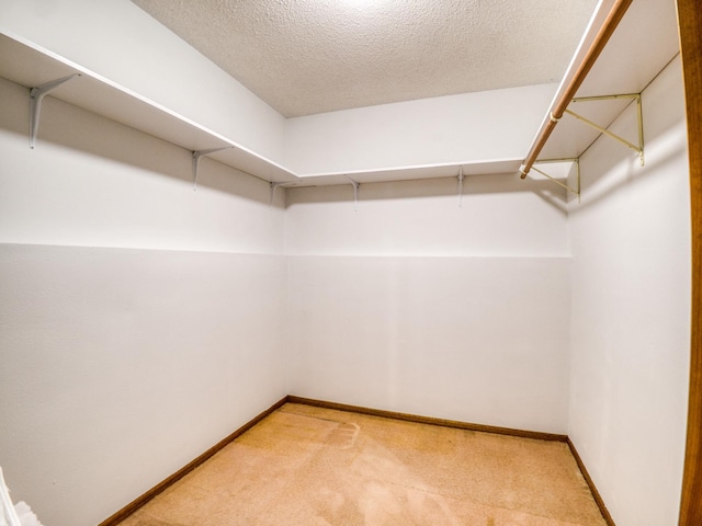 300 27th St NE, Bemidji, MN 56601 - spacious closet with light carpet