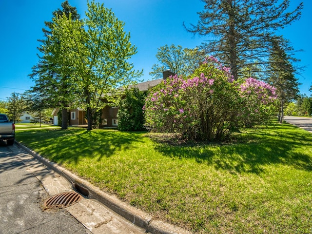 300 27th St NE, Bemidji, MN 56601 - view of grassy yard