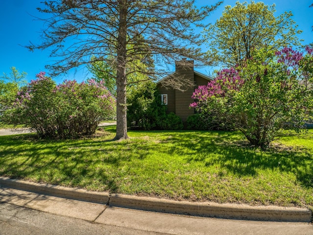 300 27th St NE, Bemidji, MN 56601 - view of grassy yard