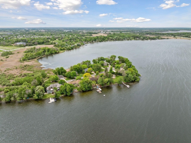 21273 Floral Bay Dr N, Forest Lake, MN 55025 - drone / aerial view of a large body of water