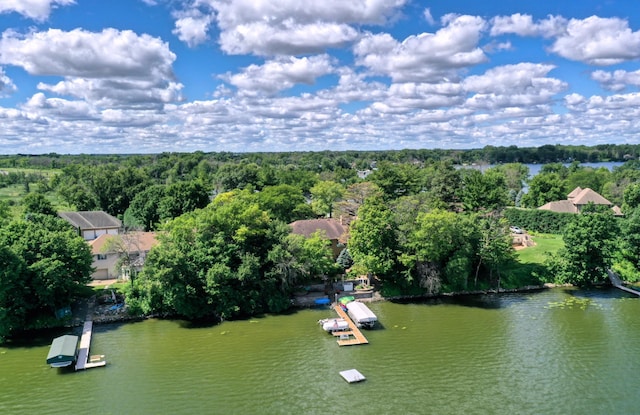 21273 Floral Bay Dr N, Forest Lake, MN 55025 - photo 86