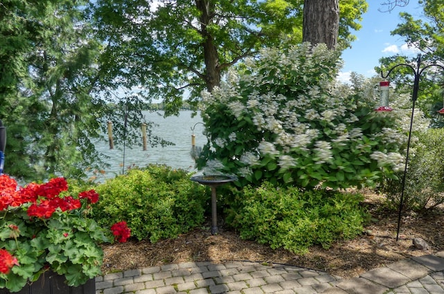 21273 Floral Bay Dr N, Forest Lake, MN 55025 - photo 92