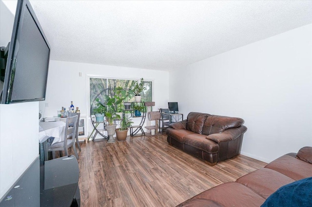 6900 Unity Ave N, Brooklyn Center, MN 55429 - living area featuring wood finished floors and a textured ceiling