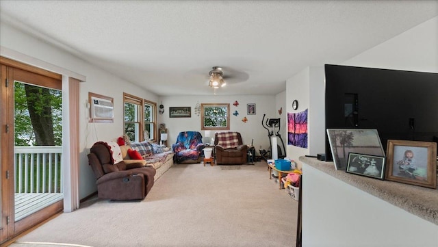 19157 181st Ave, Long Prairie, MN 56347 - living area featuring carpet floors, ceiling fan, and a wall mounted AC