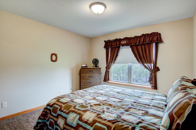 N5024 558th St, Menomonie, WI 54751 - bedroom with carpet floors, baseboards, and a textured ceiling