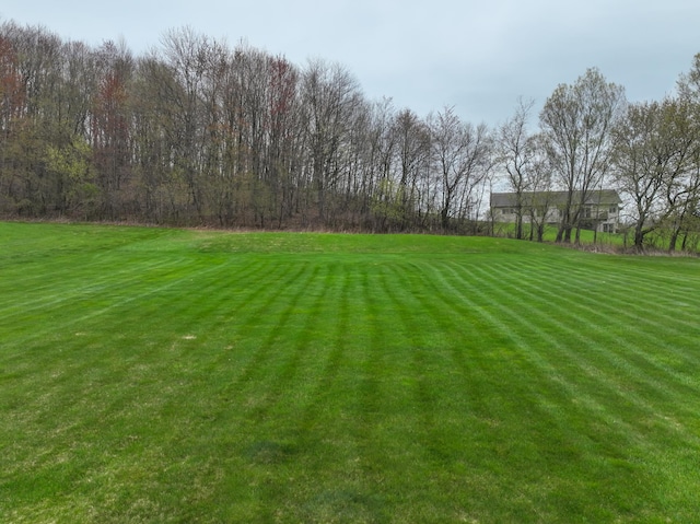 N5024 558th St, Menomonie, WI 54751 - view of green lawn