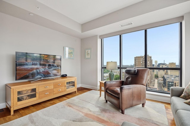 100 3rd Ave S Unit 1107, Minneapolis, MN 55401 - living area featuring wood finished floors, baseboards, and a view of city