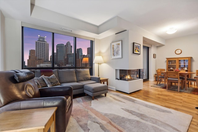 100 3rd Ave S Unit 1107, Minneapolis, MN 55401 - living room featuring wood finished floors, a view of skyline, baseboards, and a multi sided fireplace