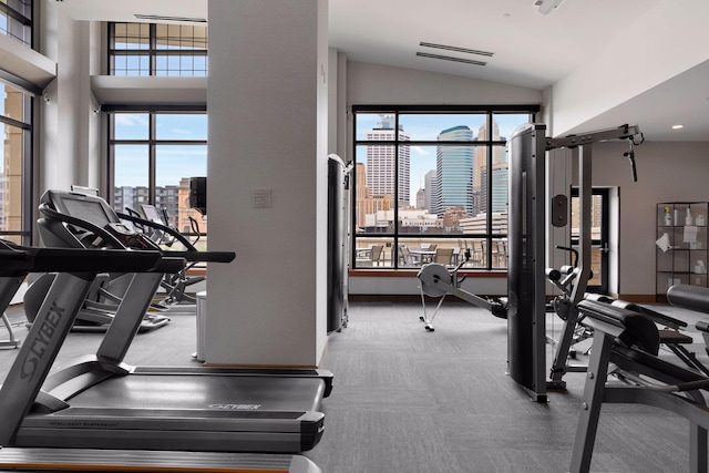 100 3rd Ave S Unit 1107, Minneapolis, MN 55401 - gym featuring a view of skyline and vaulted ceiling