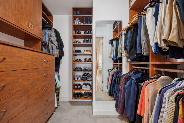 100 3rd Ave S Unit 1107, Minneapolis, MN 55401 - walk in closet with light colored carpet