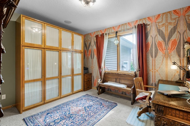 1665 3rd St SW, New Brighton, MN 55112 - office space with carpet and a textured ceiling