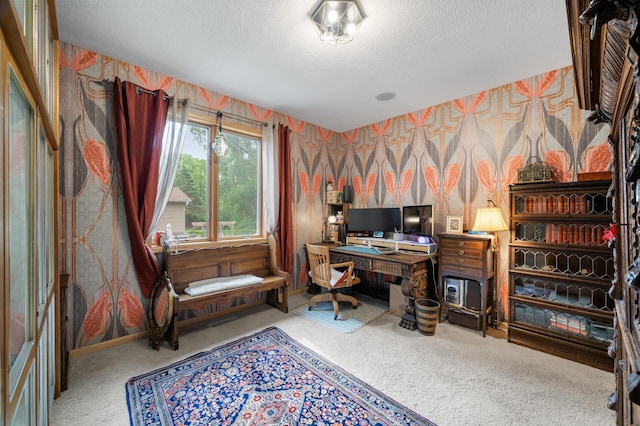 1665 3rd St SW, New Brighton, MN 55112 - home office with wallpapered walls, carpet flooring, and a textured ceiling