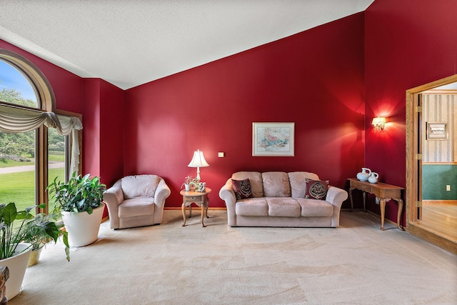 2501 112th St, Bloomington, MN 55431 - living room with carpet flooring and lofted ceiling
