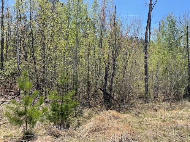 5618 Birchbark Lndg, Biwabik, MN 55708