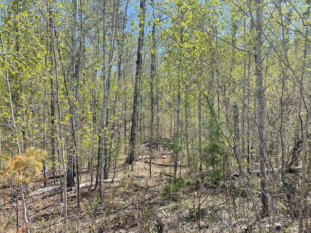 5618 Birchbark Lndg, Biwabik, MN 55708
