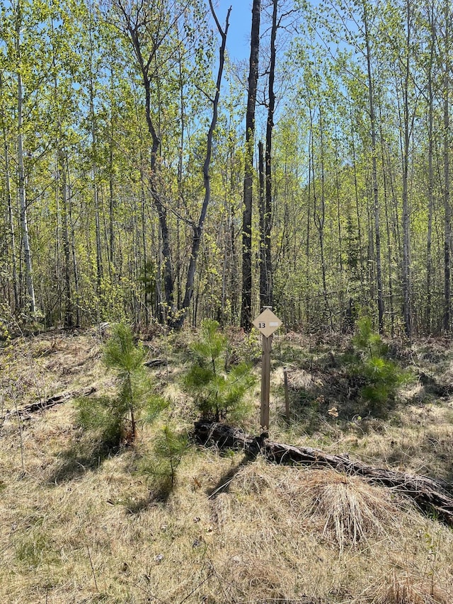 5618 Birchbark Lndg, Biwabik, MN 55708