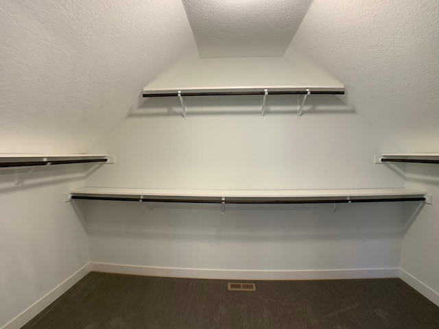 4605 130th Ln NE, Blaine, MN 55449 - spacious closet featuring lofted ceiling