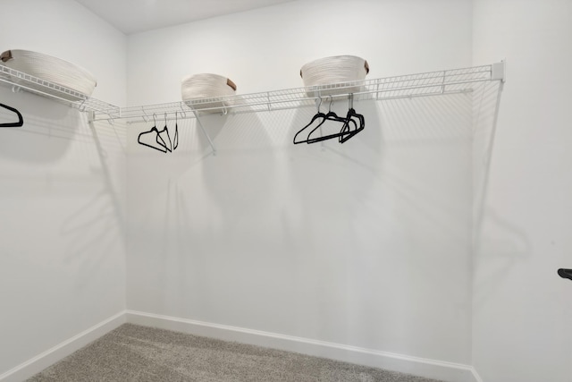 9577 Jada Way, Elko New Market, MN 55020 - walk in closet with carpet