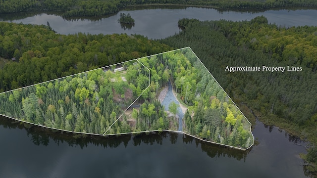 53550 Little Bear Trl, Bigfork, MN 56628