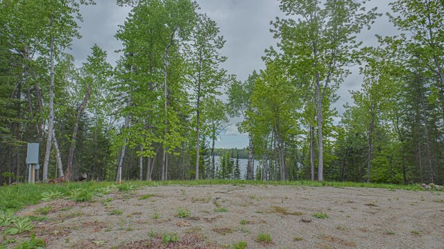 53550 Little Bear Trl, Bigfork, MN 56628
