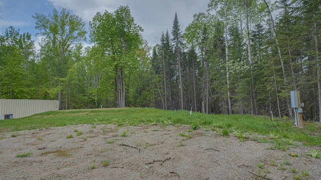 53550 Little Bear Trl, Bigfork, MN 56628