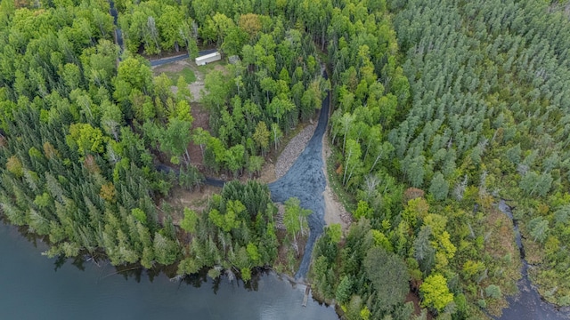 53550 Little Bear Trl, Bigfork, MN 56628