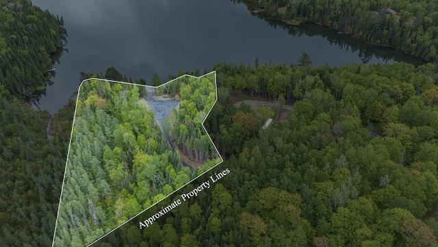 53549 Little Bear Trl, Bigfork, MN 56657