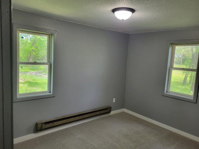 310 Lincoln St E, Burtrum, MN 56318 - photo 26