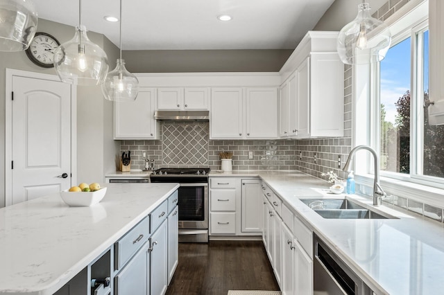 2940 Tiflawn Ct, Shakopee, MN 55379 - kitchen featuring stainless steel appliances, a sink, under cabinet range hood, white cabinetry, and recessed lighting