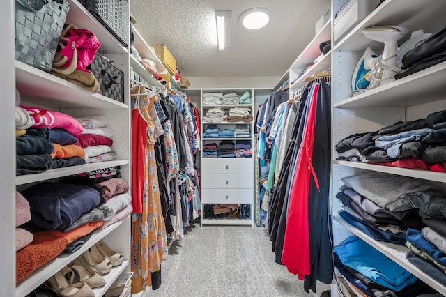 2940 Tiflawn Ct, Shakopee, MN 55379 - walk in closet with carpet