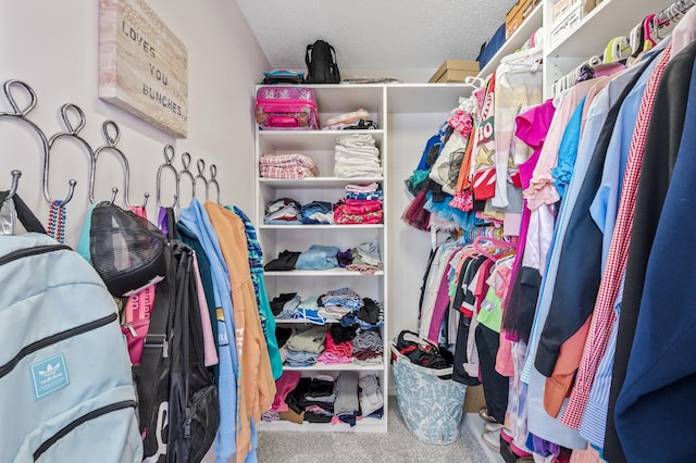 2940 Tiflawn Ct, Shakopee, MN 55379 - walk in closet with carpet floors
